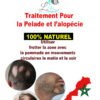 Traitement Naturel pour la Pelade et l'Alopécie - 100 % Marocain – Image 2